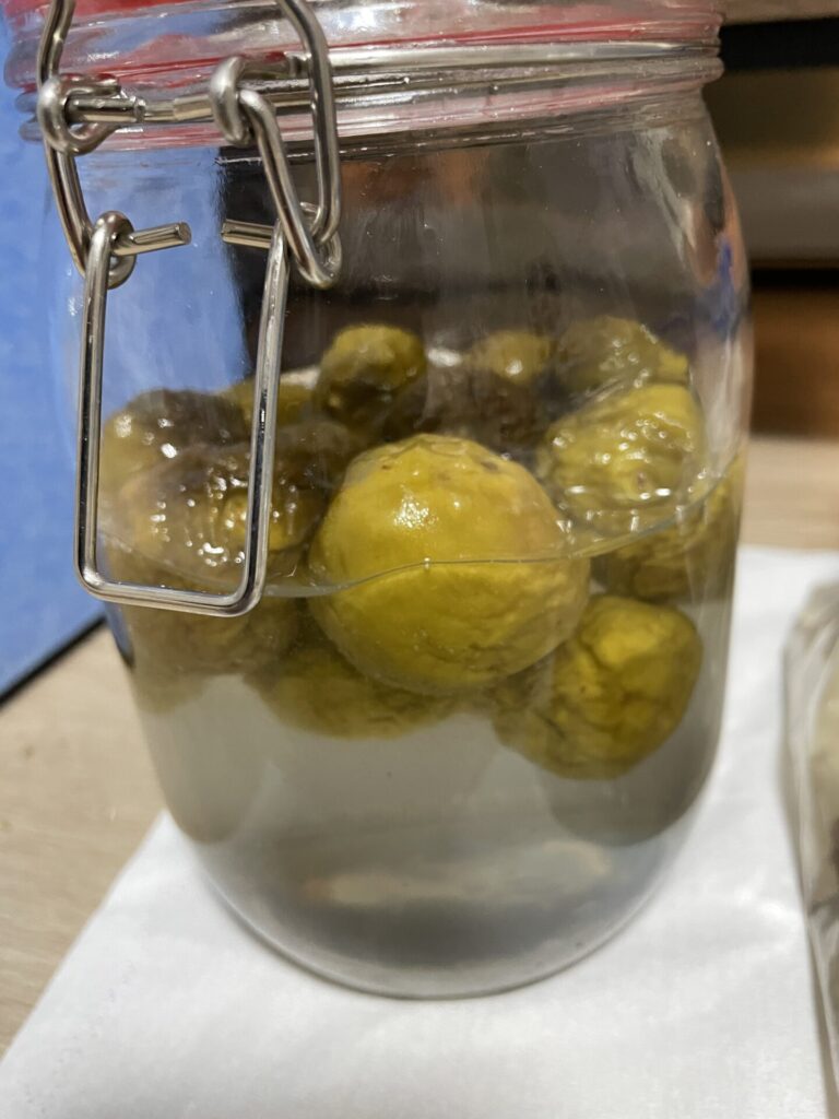 梅シロップ10日目